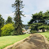 Arbour Park
