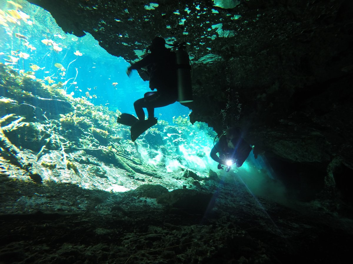 dive and snorkel tulum