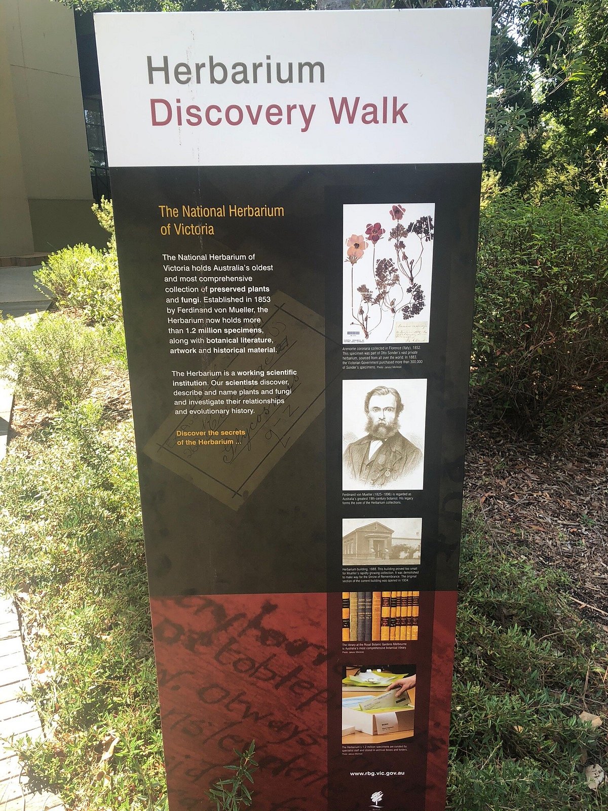 https://dynamic-media-cdn.tripadvisor.com/media/photo-o/1c/a2/3c/58/herbarium-discovery-walk.jpg?w=1200&h=-1&s=1