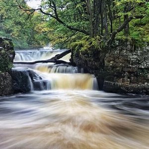 Birds of prey experiences in Wales, Things to do