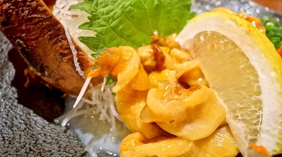 出張ひとり飯  #出張 #ひとり飯 #比内地鶏 #串焼き #ハタハタ #塩焼き #近海アラ刺 #ギバサ #ホヤ酢 #秋田 #うみひこ本店