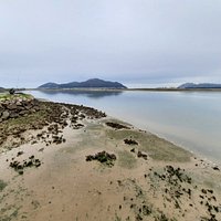 Parque Natural Marismas de Santoña