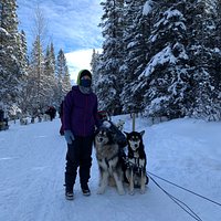 Snowy Owl Sled Dog Tours (Canmore) - All You Need to Know BEFORE You Go