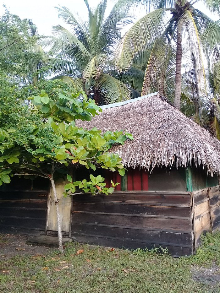 CABANAS LA LUNA (Puerto Arista, Chiapas) - opiniones y comentarios - hostal  - Tripadvisor