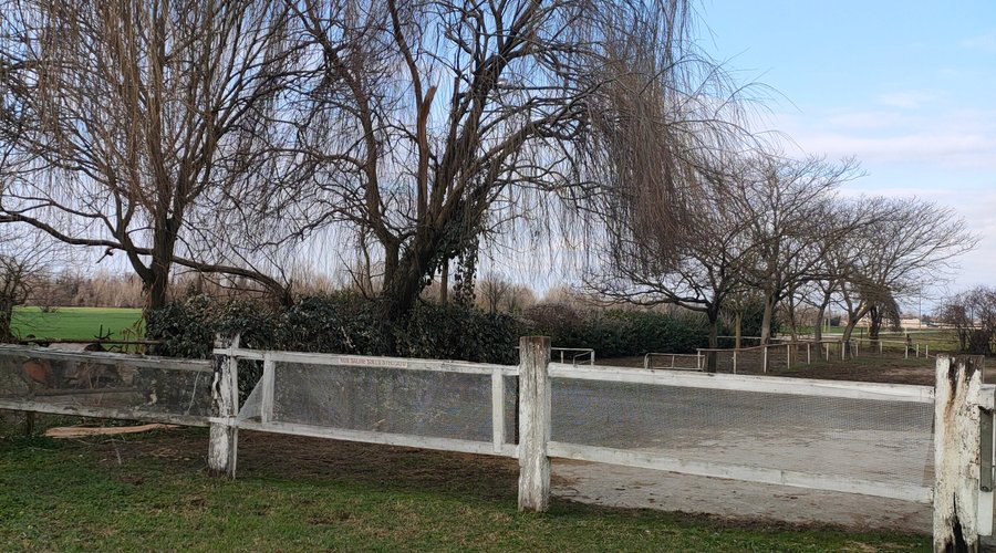 Bel posto,dove andare a fare una passeggiata a cavallo 🐎🐎