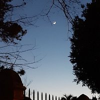 Parco Pertini