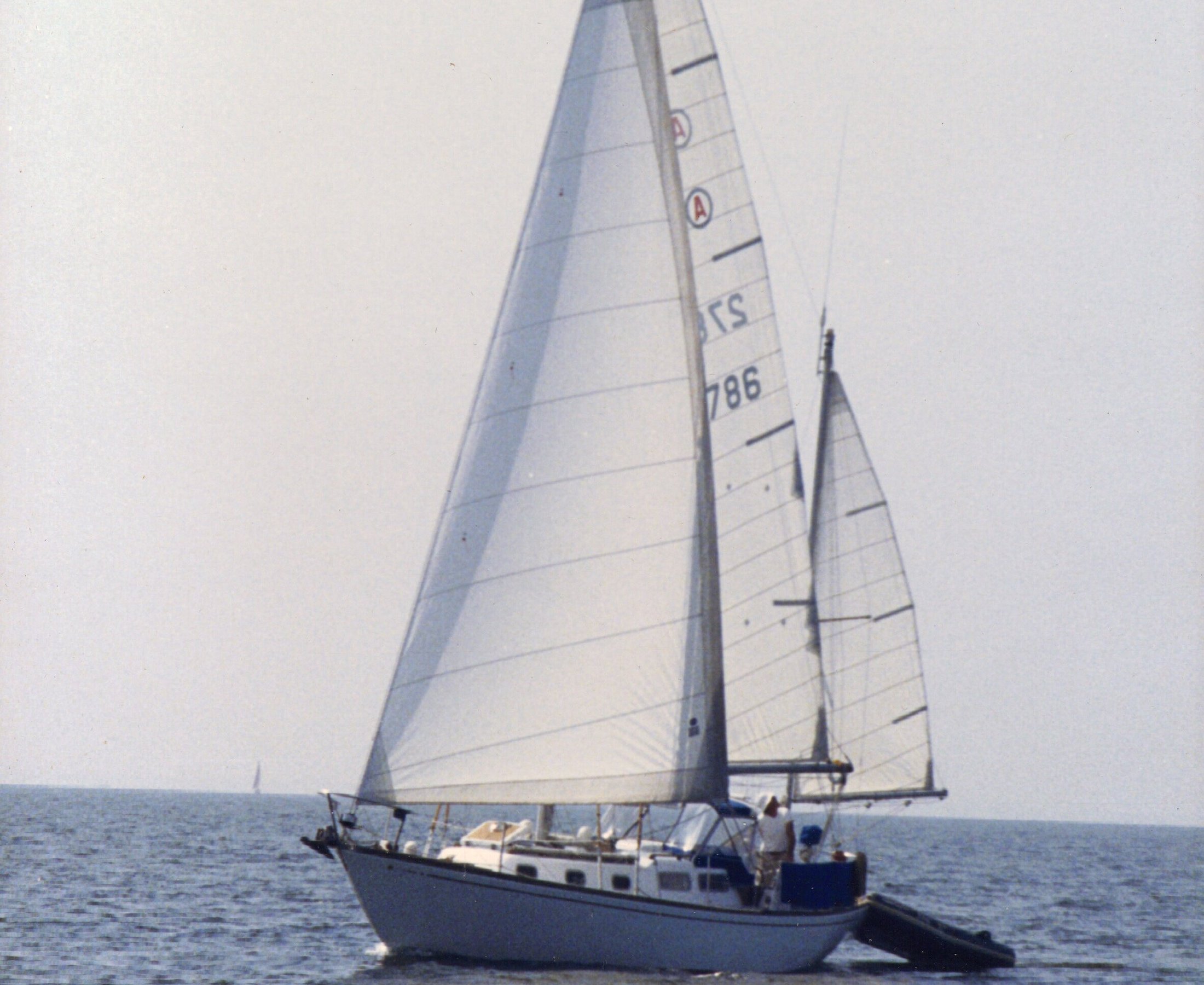 Sailing Vessel Alcor - 밀퍼드 - Sailing Vessel Alcor의 리뷰 - 트립어드바이저