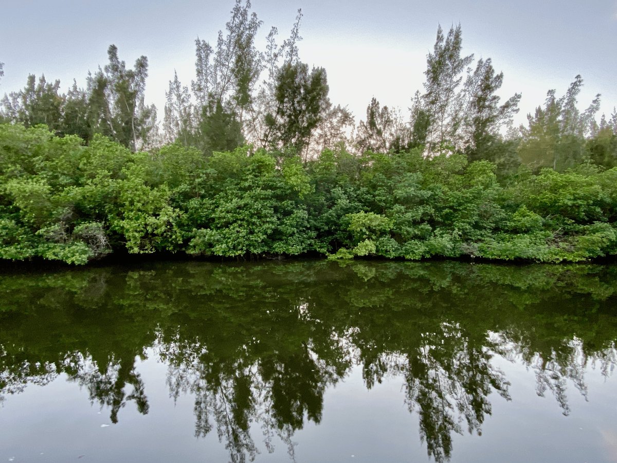 RIVER EXPLORER BOAT TOURS (Vero Beach) - All You Need to Know BEFORE You Go