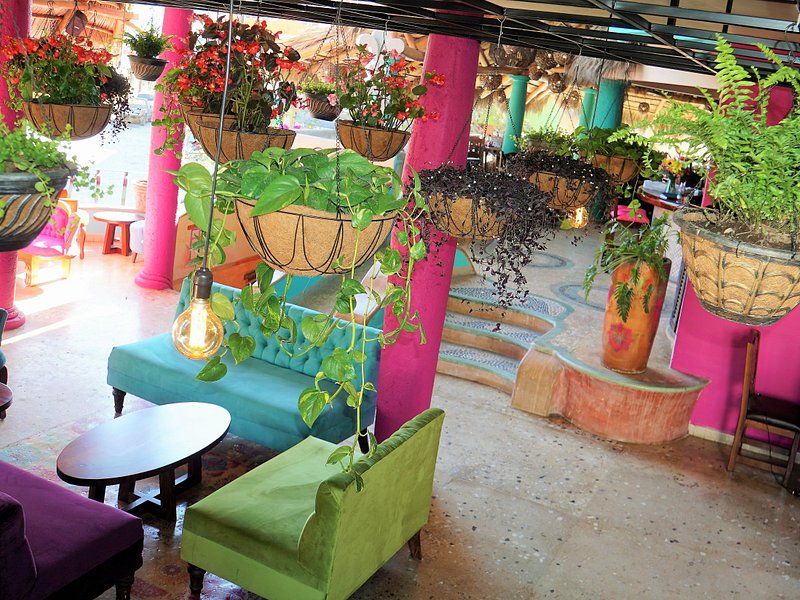 BICHOS, Sayulita - Menu, Prices & Restaurant Reviews - Tripadvisor