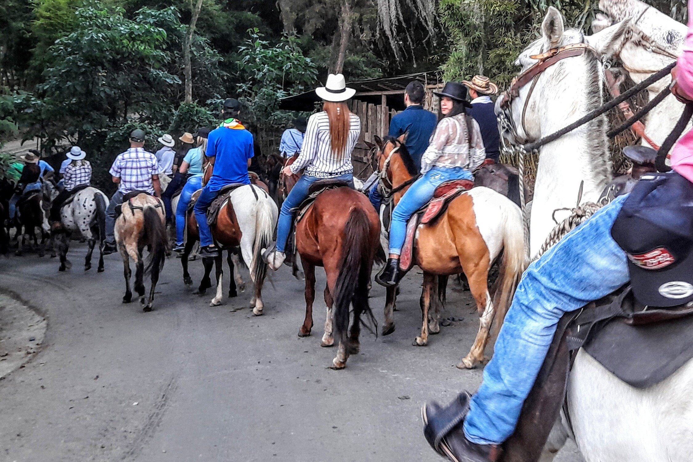 Cabalgatas Del Norte - Qué SABER Antes De Ir (ACTUALIZADO 2024 ...