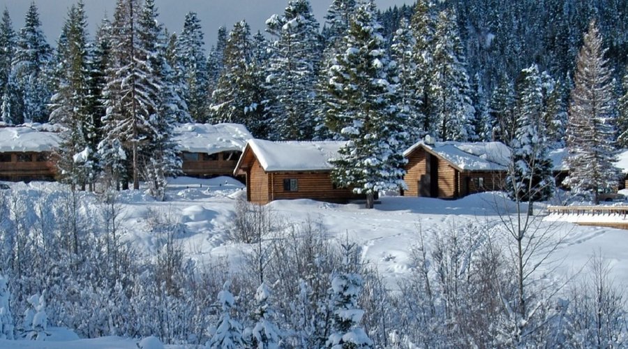 Snowy Wintery Grounds at Cooper Spur. Feb 2021