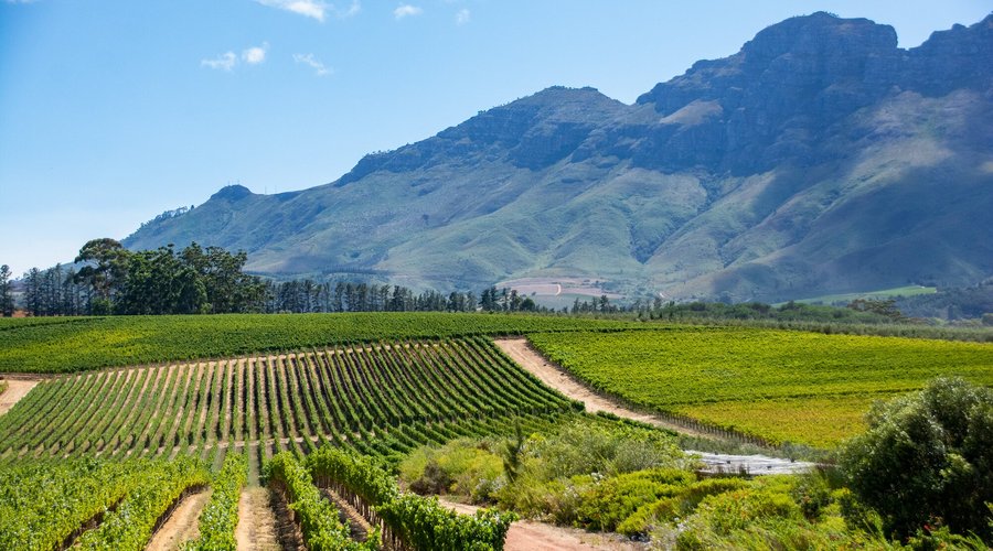 Beautiful views of the scenery at Glenelly Estate.