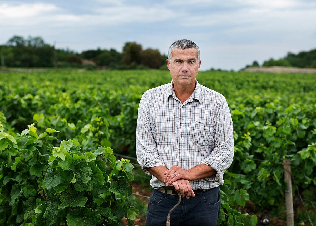 Les Heritiers Saint-Genys - Winery (Chassagne-Montrachet, France ...