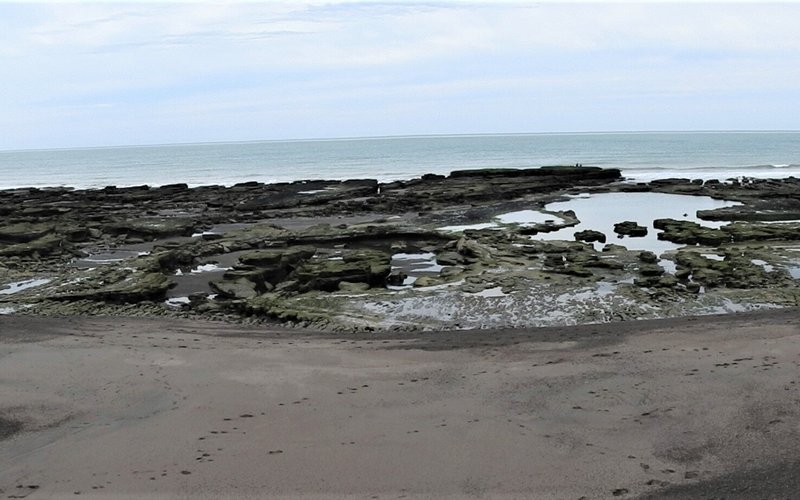 La Loberia - Punta Bermeja - Viedma - La Loberia - Punta Bermeja의 리뷰 - 트립어드바이저