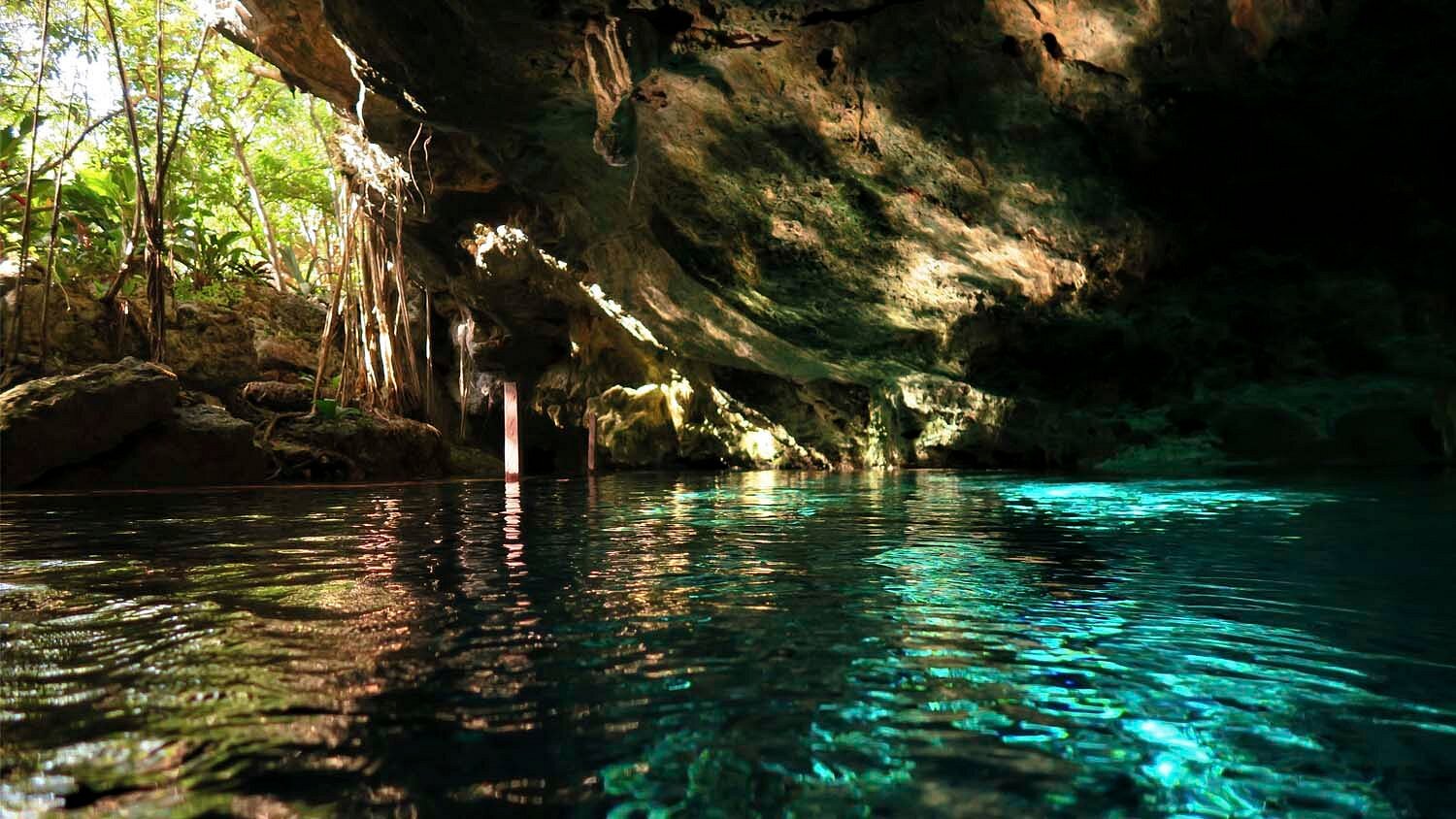 cenote tours playa del carmen