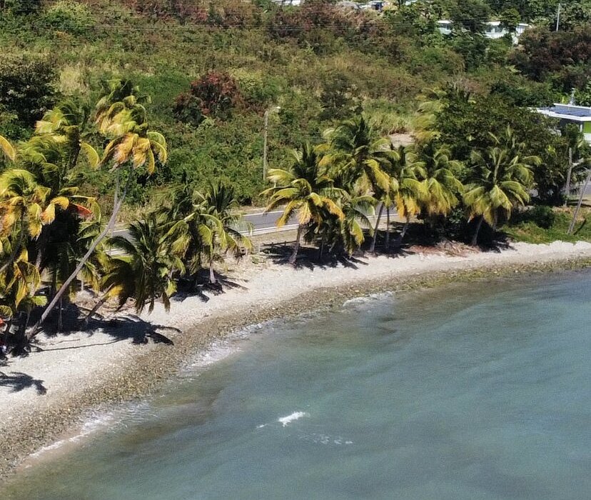 The 10 Best Places To Visit In Patillas Updated 2024 Tripadvisor