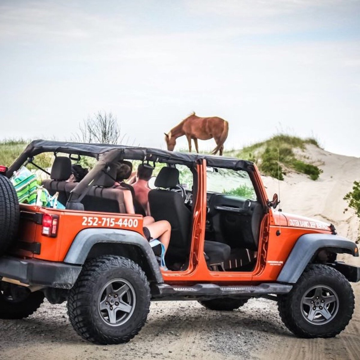 2022年 Outer Banks Jeep Rentals 行く前に！見どころをチェック トリップアドバイザー