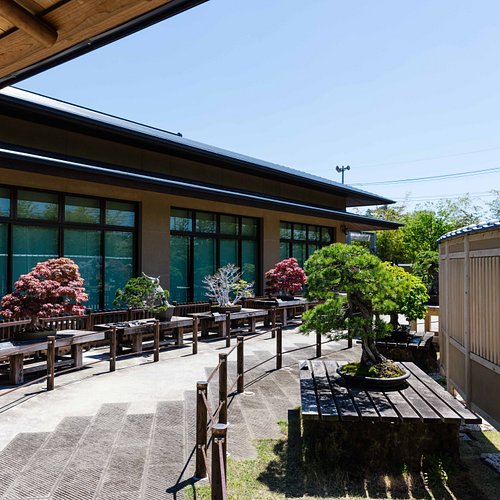 What To Do And See In Saitama Kanto The Best Things To Do What To Do And See In Saitama Kanto The Best Things To Do