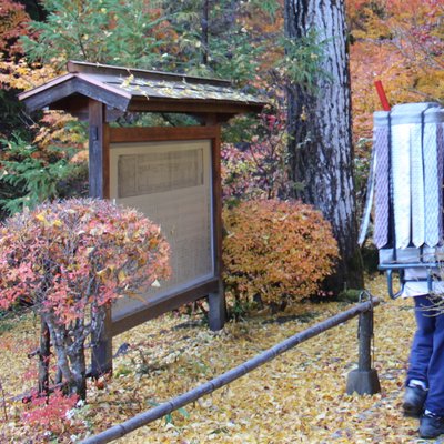 21年 秩父市で絶対外さないおすすめ観光スポットトップ10 定番から穴場まで トリップアドバイザー