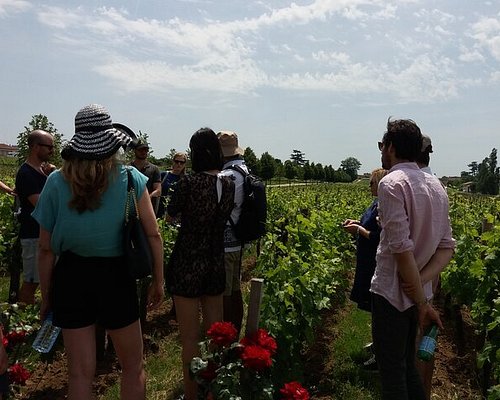 best winery tours in france