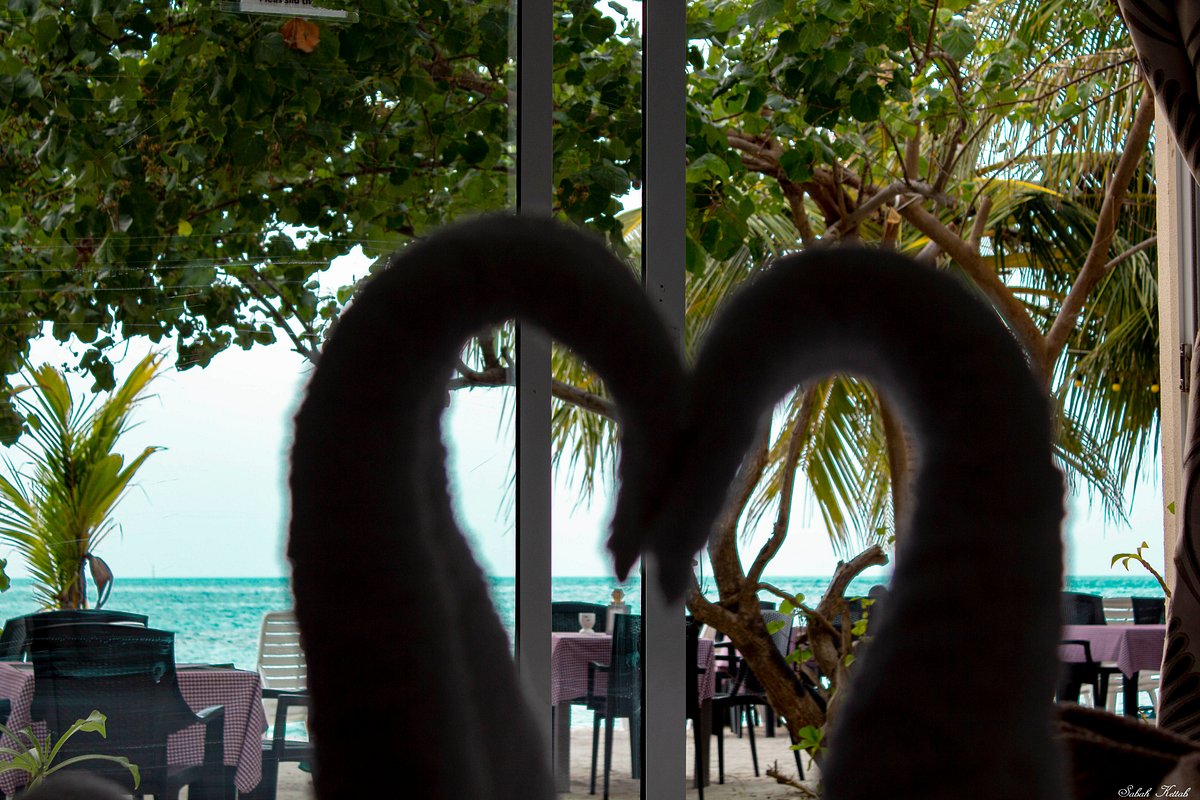 The crown beach hotel dhiffushi 1