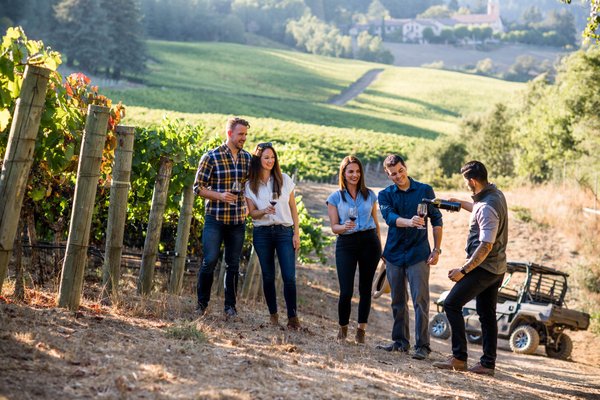 The 15 Best Things To Do In Napa Valley Updated 2021 Must See Attractions In Napa Valley Ca