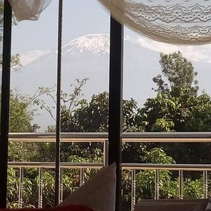 Kilimanjaro White House Hotel in Moshi, image may contain: Vegetation, Nature, Outdoors, Rainforest