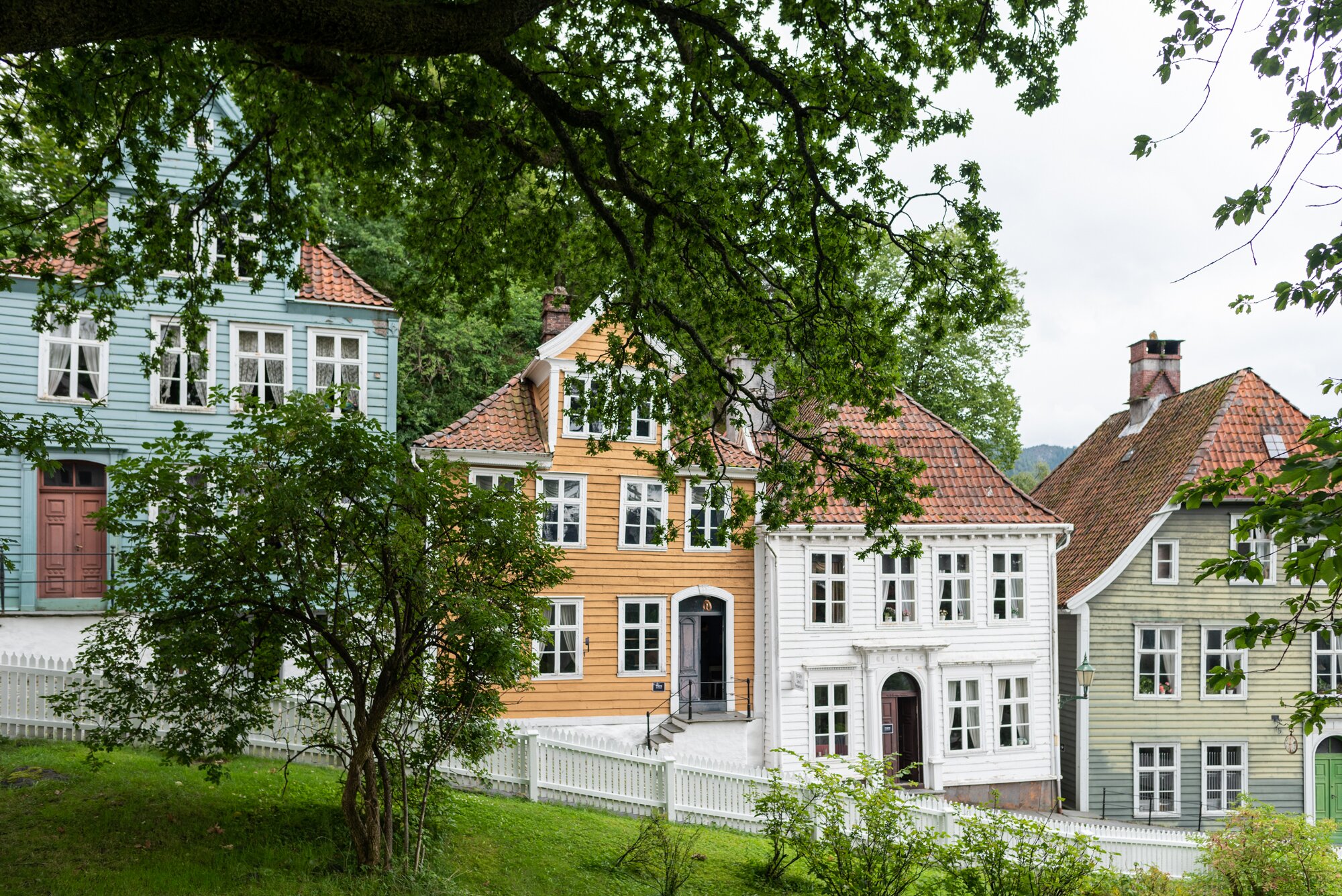 THE 15 BEST Things To Do In Bergen (2024) - Must-See Attractions