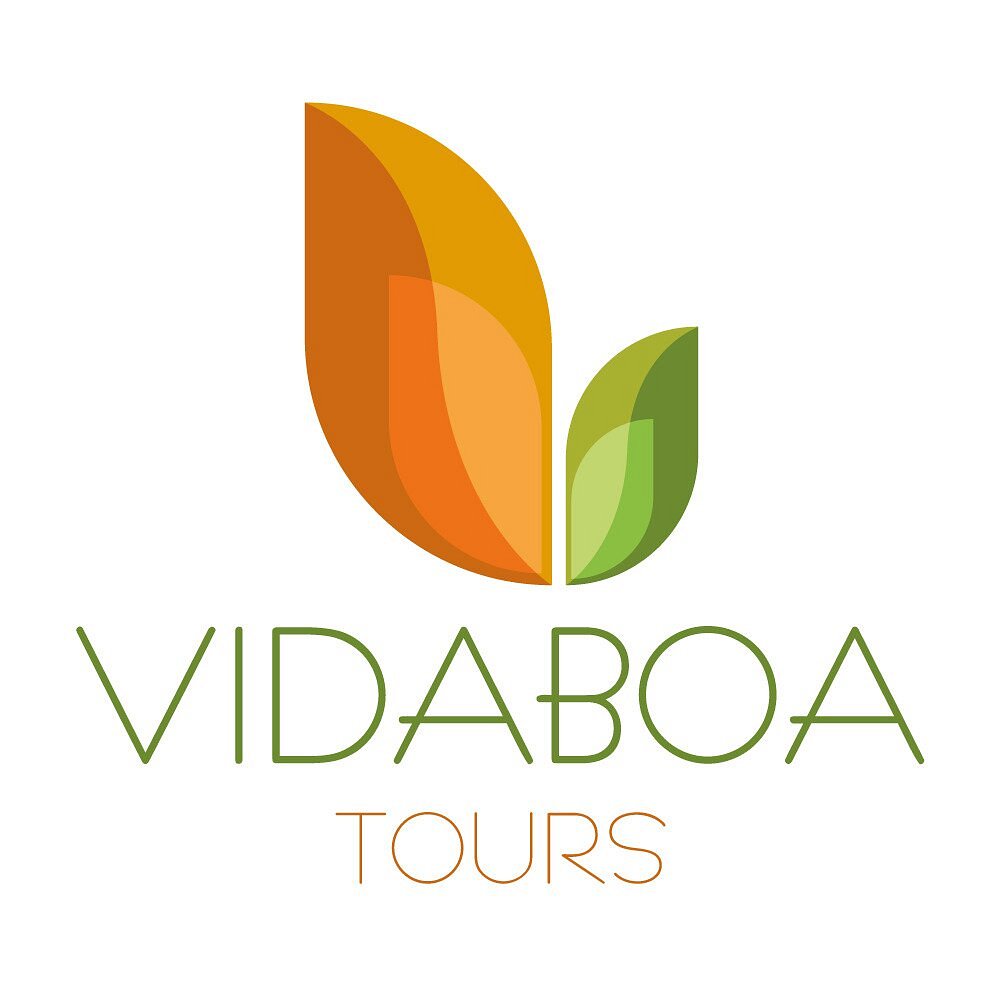 Vidaboa Tours Porto All You Need To Know Before You Go 1262