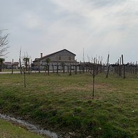 I Padroncini