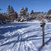 Spruce Acres trail
