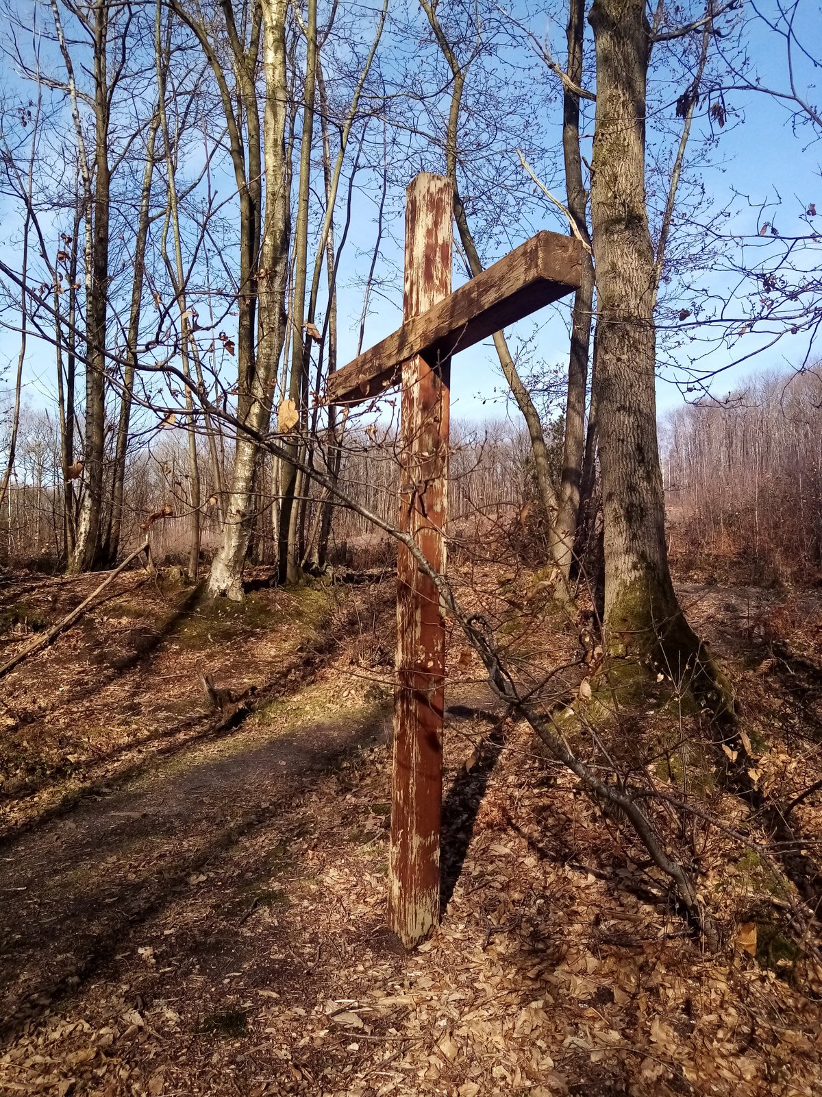 La Croix Aux Borgnes - All You MUST Know Before You Go (2024)