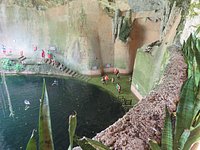 Cenote Ik kil - All You Need to Know BEFORE You Go (with Photos)