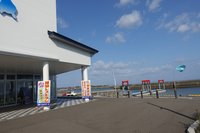21年 イルカマリンワールド 行く前に 見どころをチェック トリップアドバイザー