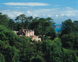 Orestone Manor in Torquay, image may contain: Vegetation, Resort, Rainforest, Land