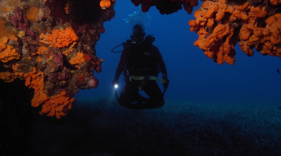 Diving School