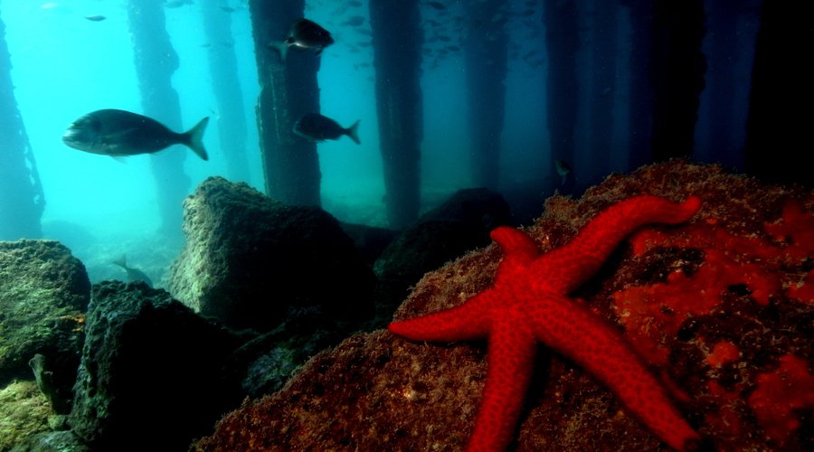 Underwater