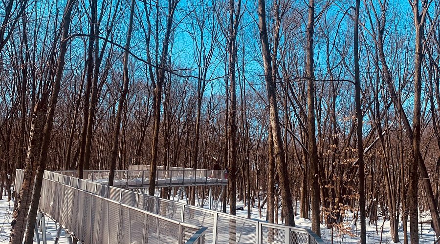 Bois-de-Liesse Nature Park