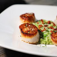 Scallops & Risotto