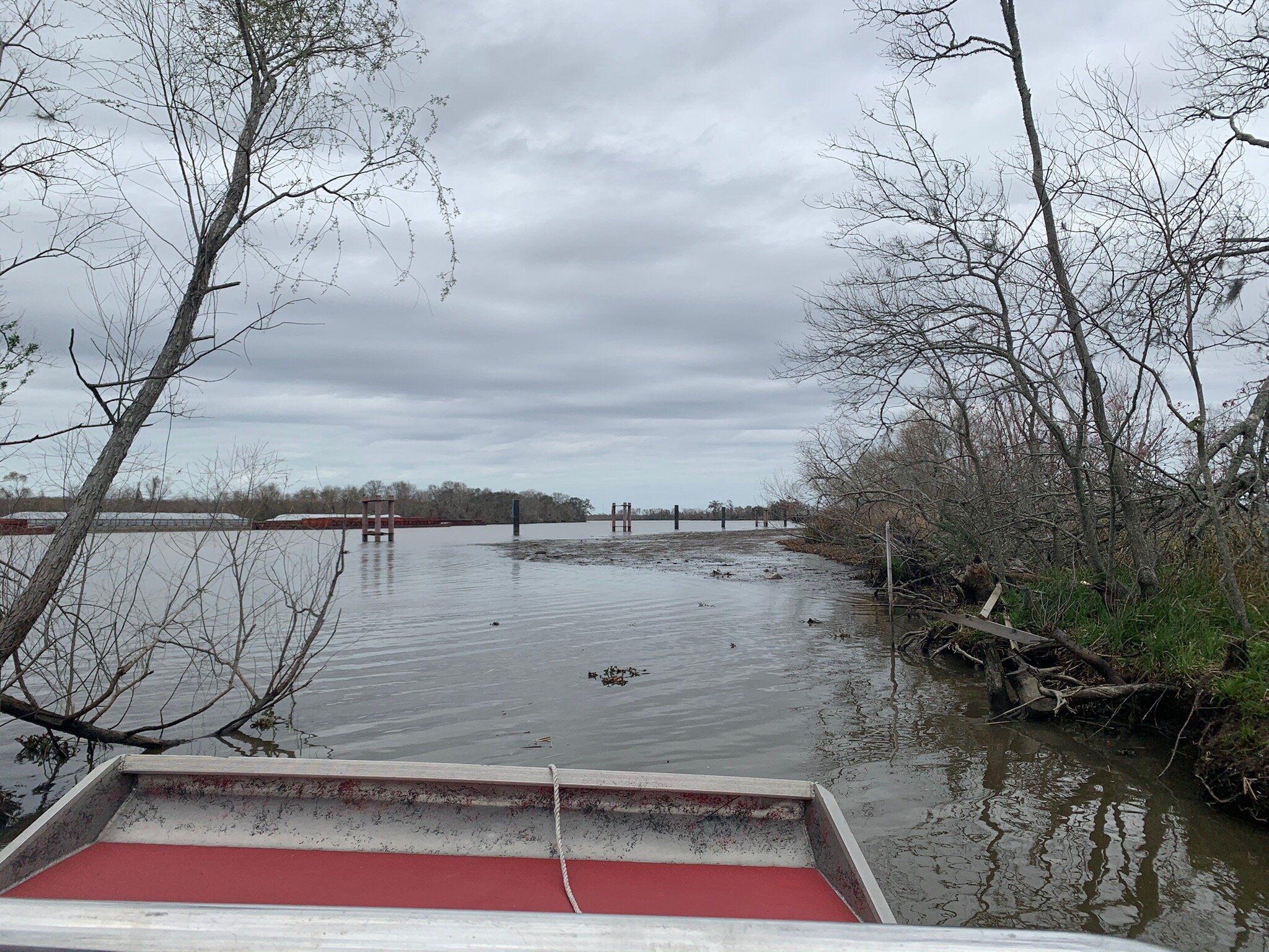 New Orleans Swamp Tours - All You Need to Know BEFORE You Go (2024)