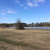 City Pond Park (Covington) - All You Need to Know BEFORE You Go