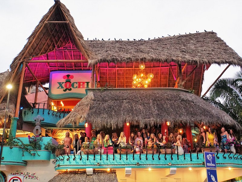 BICHOS, Sayulita - Menu, Prices & Restaurant Reviews - Tripadvisor