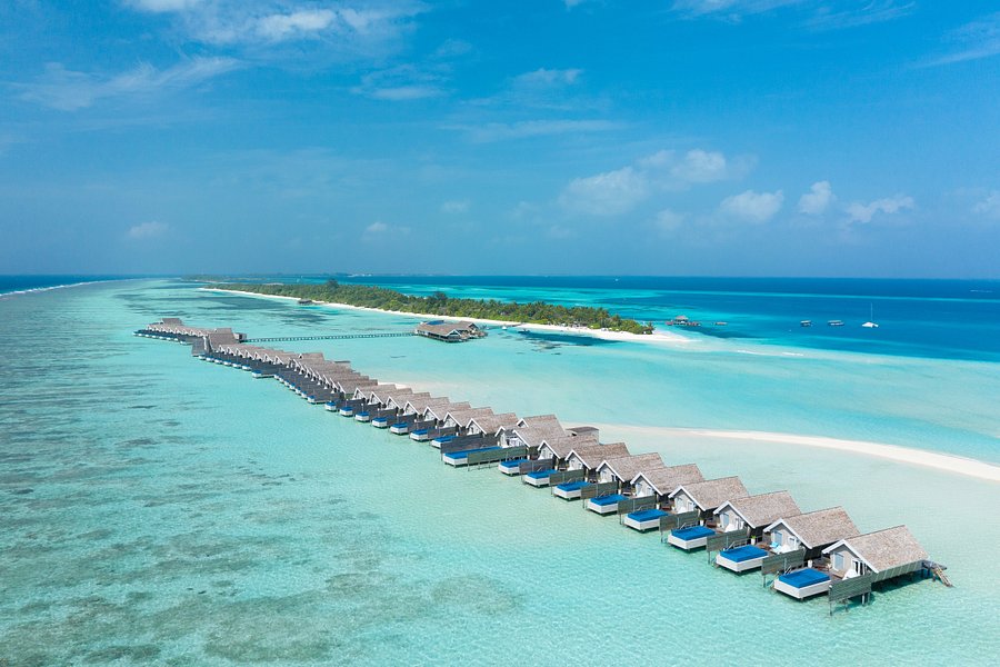 gave ris kommentator LUX SOUTH ARI ATOLL - Updated 2021 Prices & Resort Reviews (Dhidhoofinolhu  Island, Maldives) - Tripadvisor