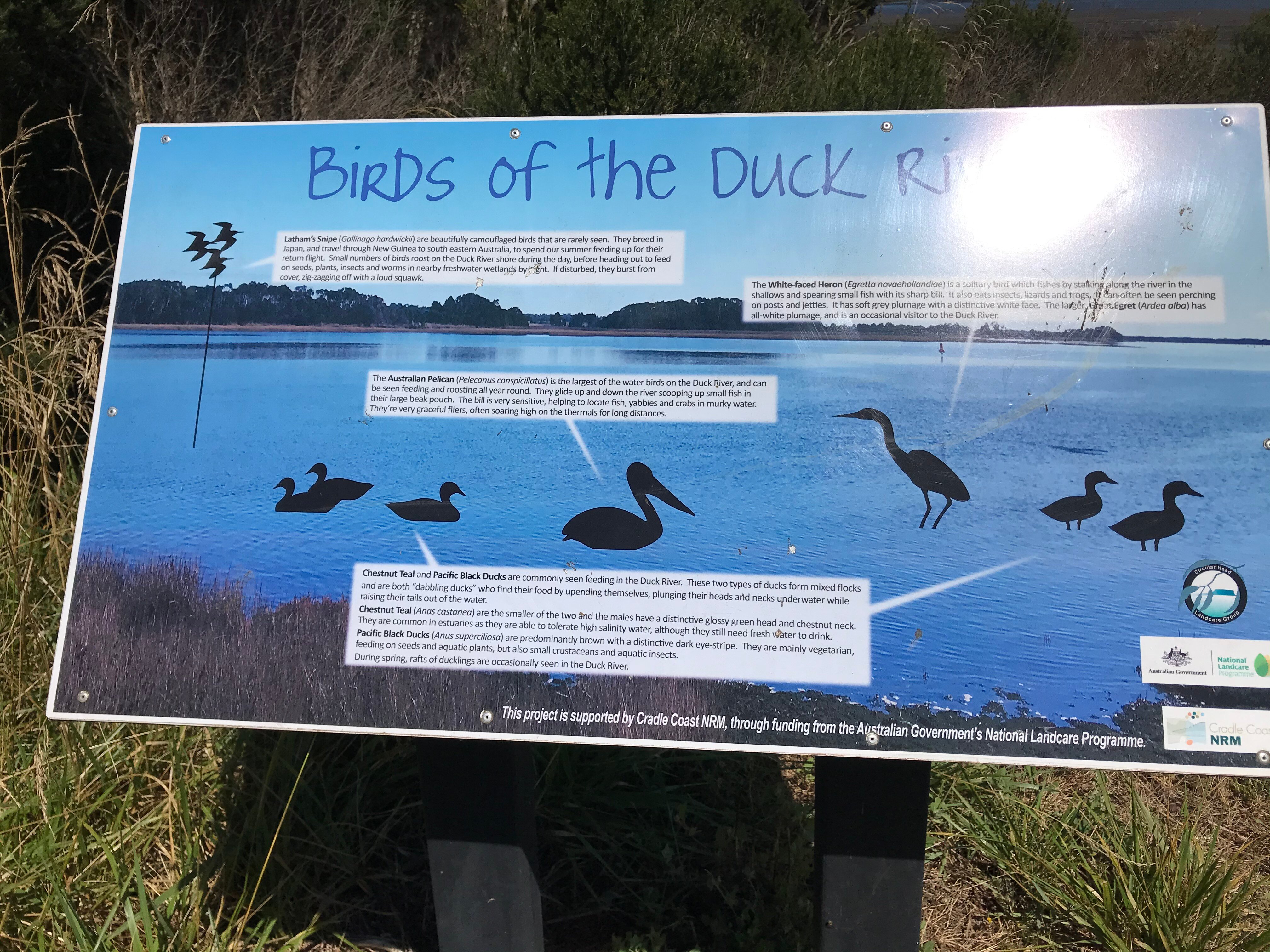 DUCK RIVER FORESHORE PATH Smithton 2022 What To Know BEFORE You Go   Duck River Foreshore 