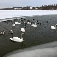 Gorodishhenskoye Lake