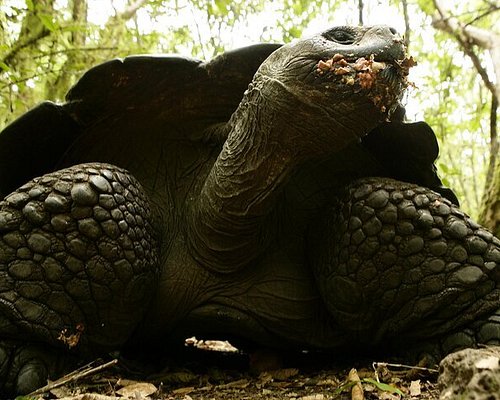 eco trips to galapagos islands