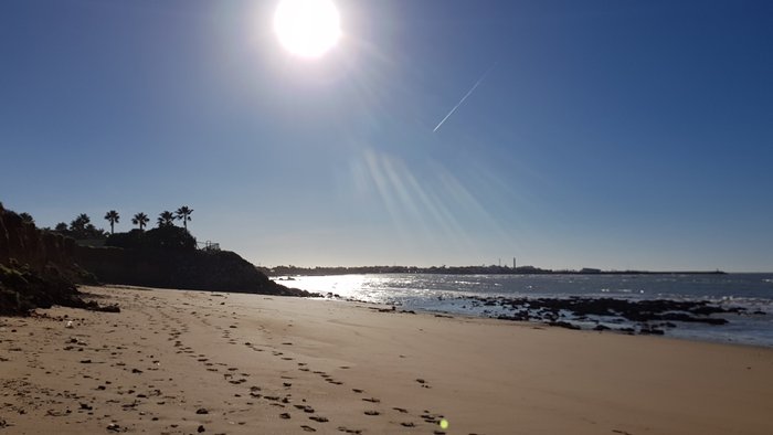 Imagen 8 de Área de Pernocta - La Siesta de la Gaviota