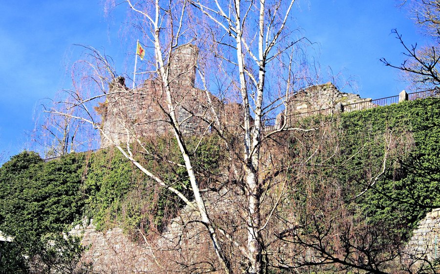 Les vestiges du château Comtal