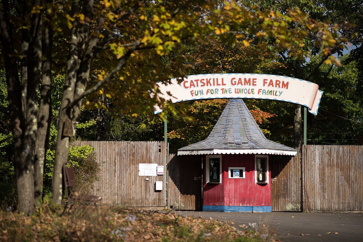 The Old Catskill Game Farm - All You Need to Know BEFORE You Go (2024)