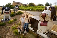 Joseph Phelps Visitors Center - Picture of Joseph Phelps Vineyards, St.  Helena - Tripadvisor